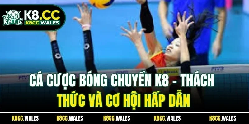 Cá Cược Bóng Chuyền K8 - Thách Thức Và Cơ Hội Hấp Dẫn