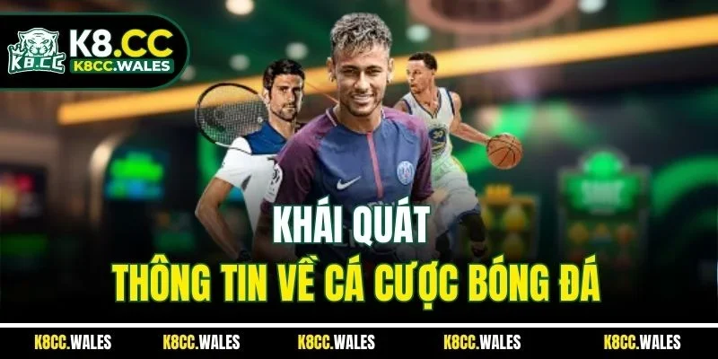 Khái quát thông tin về cá cược bóng đá