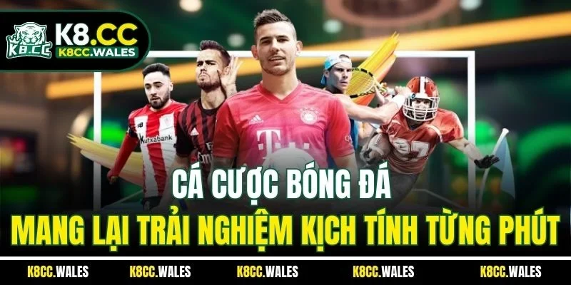 Cá Cược Bóng Đá Mang Lại Trải Nghiệm Kịch Tính Từng Phút