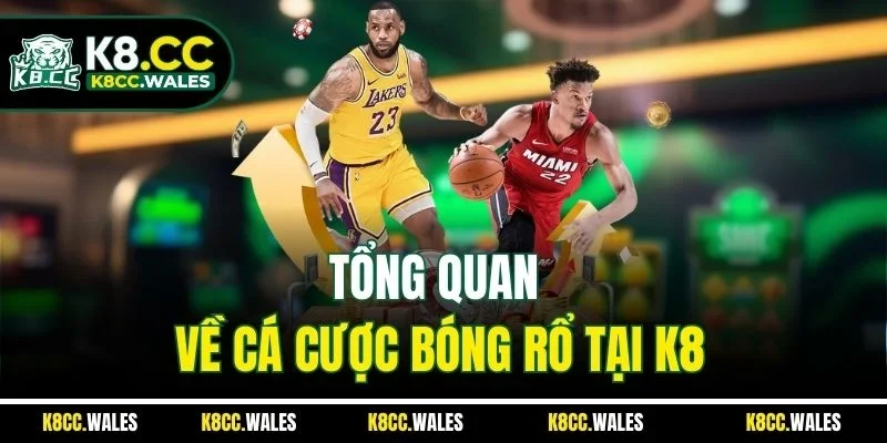 Tổng quan về cá cược bóng rổ tại K8