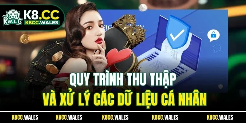 Quy trình thu thập và xử lý các dữ liệu cá nhân