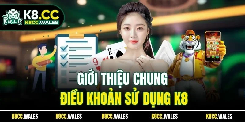 Giới thiệu chung điều khoản sử dụng K8