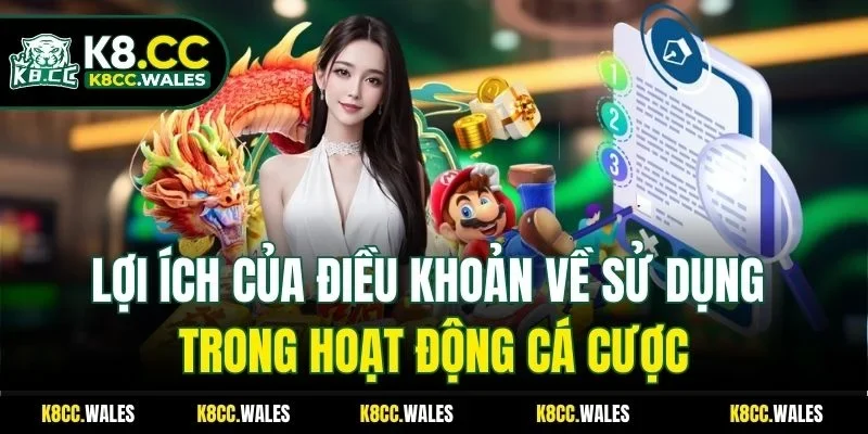 Lợi ích của điều khoản về sử dụng trong hoạt động cá cược