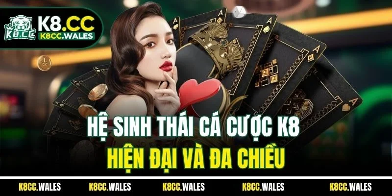Hệ sinh thái cá cược K8 hiện đại và đa chiều