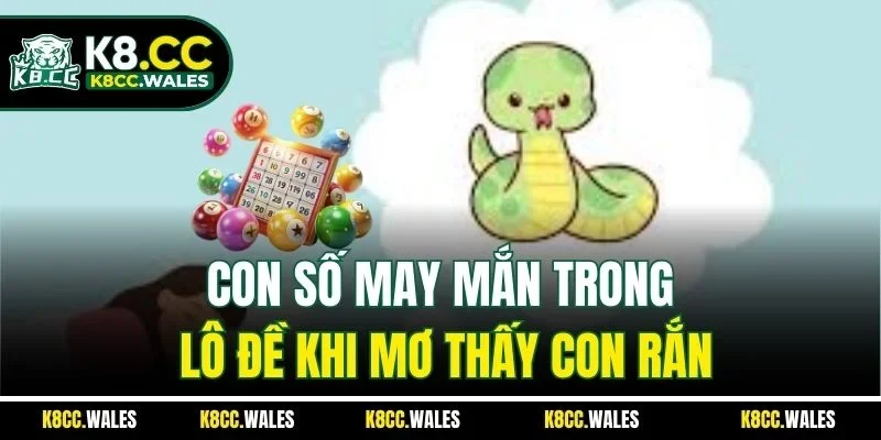 Con số may mắn trong lô đề khi mơ thấy con rắn