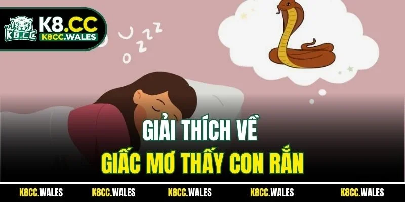 Giải thích về giấc mơ thấy con rắn