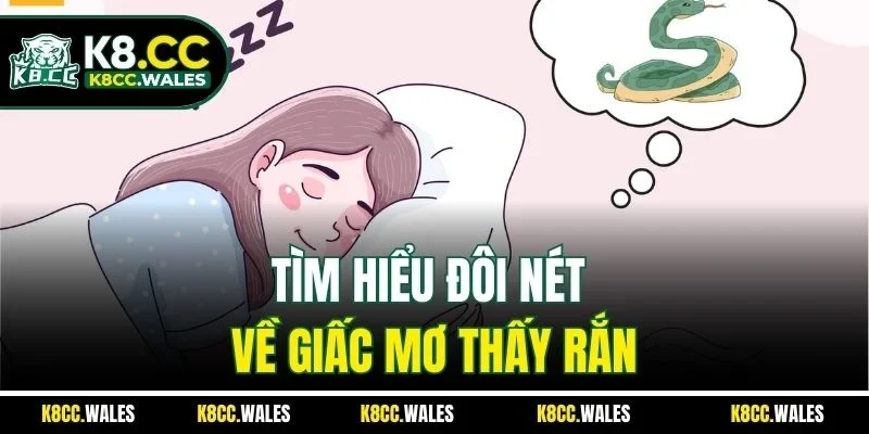Tìm hiểu đôi nét về giấc mơ thấy rắn